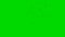 Swarm of Flying Insects with Camera Movement on a Green Screen Background