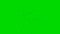 Swarm of Flying Insects with Camera Movement on a Green Screen Background