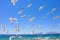 Swarm of flying sea gulls