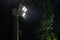 Swarm of insects and mosquitoes around the lamp of an electric spotlight at night outdoors