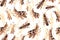 Swarm of locusts attacking rice crop seamless pattern. Grasshoppers on ripe seed head vector illustration. Parasites