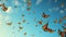 Swarm of monarch butterflies in migration