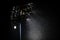 A swarm of mosquitoes and other night insects fly in the light of a stadium reflector near a big river, with the moon in the