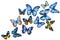 Swarm of tropical butterflies on isolated white background, watercolor painting