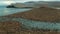 swarm of walruses rest on shores of Arctic Ocean