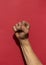 Swarthy rough mans hand with clenched fist on red background. Cesar Chavez Day concept