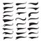 Swash and swooshes tails typography set, brush curve