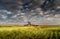 A swather sits on a partially harvested wheat field in the early morning on