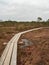 Swaying Planks: Navigating the Swamp\\\'s Expanse on the Timber Walkway