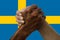 Sweden flag, intergration of a multicultural group of young people