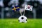 Sweden - Korea Republic, South Korea, Group F, Monday, 18. June, Football, World Cup, Russia 2018, National Flags on green