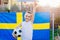 Sweden national football team supporter