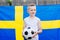 Sweden national football team supporter
