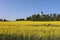 Sweden. Rapeseed fields near the town of Linkoping. Agriculture. Ostergotland province.