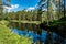 Sweden / Untouched nature along a small river in central Sweden in summer