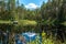 Sweden / Untouched nature along a small river in central Sweden in summer