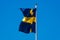 Swedish banner