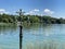 The Swedish Cross or Schwedenkreuz Flower Island Mainau on the Lake Constance or Die Blumeninsel im Bodensee - Constance, Germany