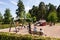 Swedish families enjoying time on a summer day in mariebergsskogen park, karlstad , sweden