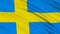 Swedish flag.