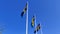 Swedish flag waving mix slowmotion under the blue sky in flagpoles during the national day