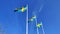 Swedish flag waving under the clear blue sky in flagpoles during the national day celebration