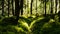 Swedish forest with penetrating sunlight wallpaper