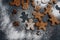 Swedish ginger biscuit shaped in funny form of thins cookies with cinnamon and cloves.