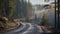 Swedish landscape in the early morning light of spring. Gravel road winds through evergreen forest, sunlight casting long shadows.