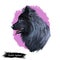 Swedish Lapphund breed of dog of Spitz type from Sweden, Lapphund. Digital art illustration. Animal watercolor portrait closeup