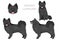 Swedish Lapphund coat colors, different poses clipart