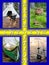 Swedish nature for active people - collage concept