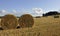 Swedish rural farmland