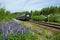 Swedish train in a summer landscape