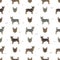 Swedish Vallhund coat colors, different poses seamless pattern