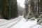Swedish winter scene road path