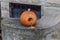 Sweep of wall beside stairs to an old urban apartment building with a Halloween pumpkin eaten out by rats, pile of pumpkin seeds