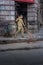 Sweeper at work around roads of Mumbai