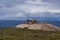 The sweeping bush vegetation, the Remarkable Rocks formation and the sea at Flinders Chase National Park on Kangaroo Island.