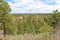 Sweeping landscape view from the top of a hiking trail in Palmer Park, Colorado Springs, Colorado