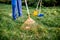 Sweeping leaves with orange rake