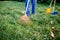 Sweeping leaves with orange rake