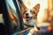 sweet, adorable, corgi terrier dog looks out of the car window with his tongue sticking out, Generative AI