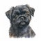 Sweet Affenpinscher Puppy in Watercolor: A Beautifully Detailed Illustration of an Adorable Dog