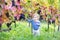 Sweet baby girl playing in autumn vine yard