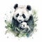Sweet Baby Panda and Mother Enjoying Bamboo on White Background for Scrapbooking.