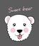 Sweet bear slogan and hand drawing illustration