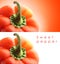 Sweet bell pepper, isolated