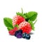 Sweet berries mix isolated on white background. Ripe raspberries