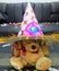 Sweet birthday teddy Bear for kids